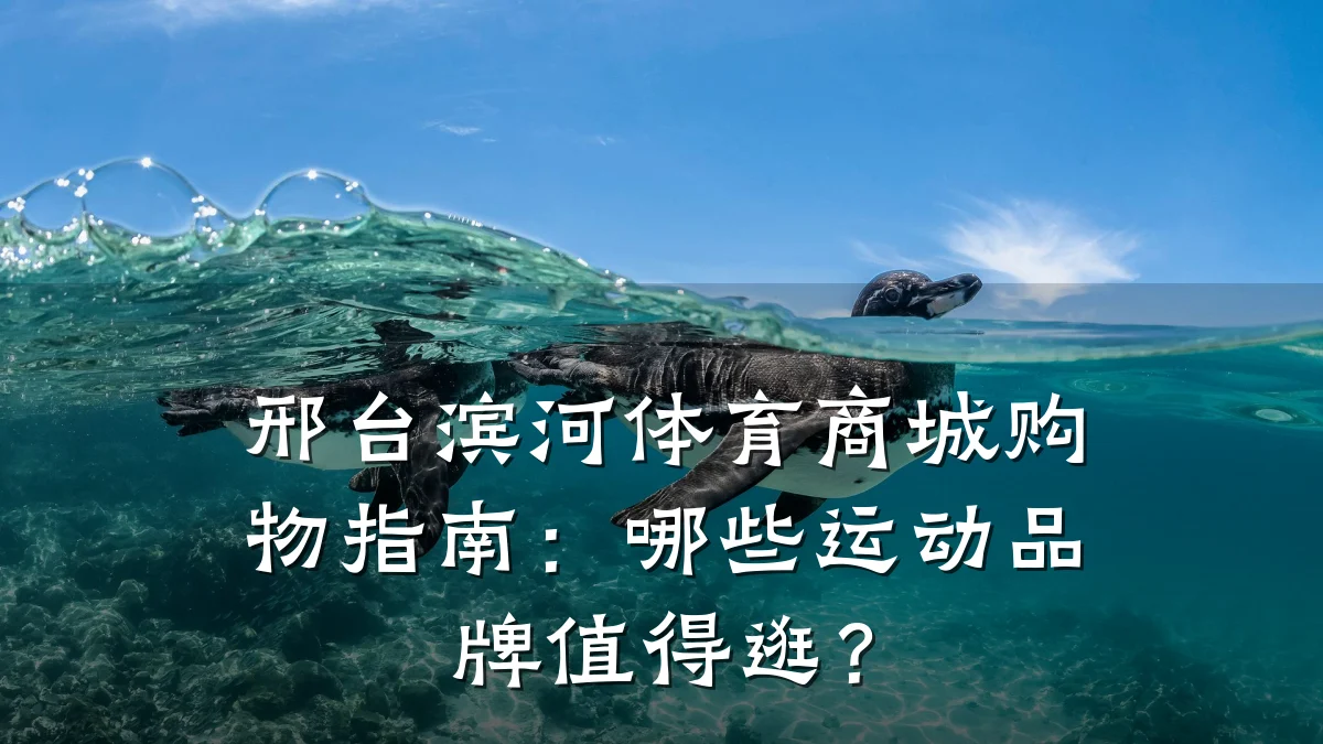 邢台滨河体育商城购物指南：哪些运动品牌值得逛？