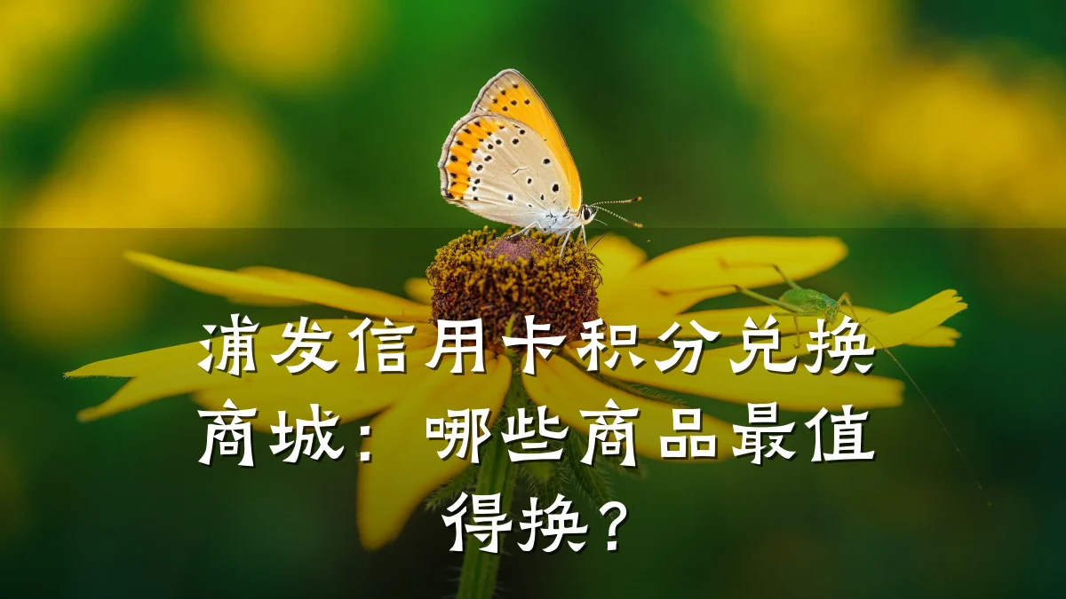 浦发信用卡积分兑换商城:哪些商品最值得换?