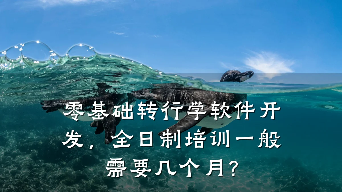 零基础转行学软件开发,全日制培训一般需要几个月?
