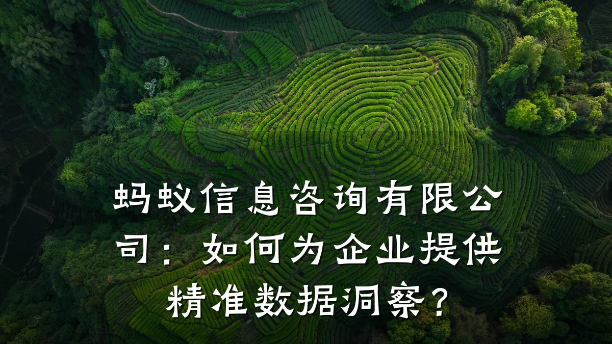 蚂蚁信息咨询有限公司:如何为企业提供精准数据洞察?
