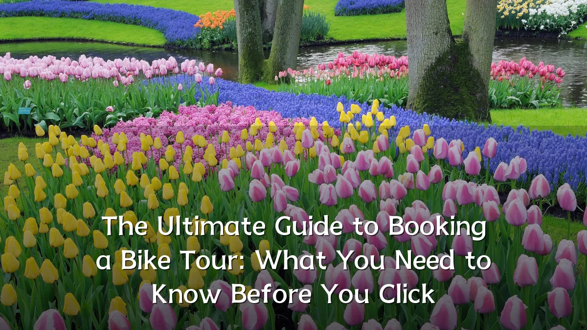 The Ultimate Guide to Booking a Bike Tour: What You Need to Know Before You Click