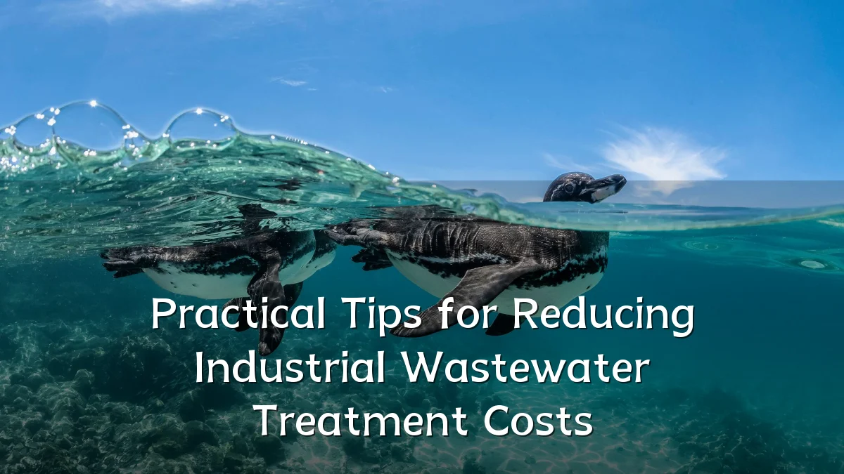 Practical Tips for Reducing Industrial Wastewater Treatment Costs