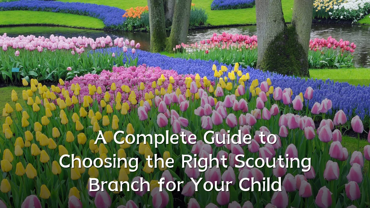 A Complete Guide to Choosing the Right Scouting Branch for Your Child