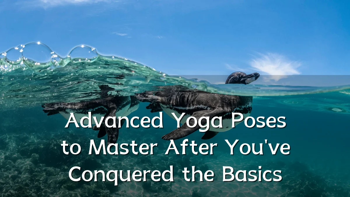 Advanced Yoga Poses to Master After You've Conquered the Basics