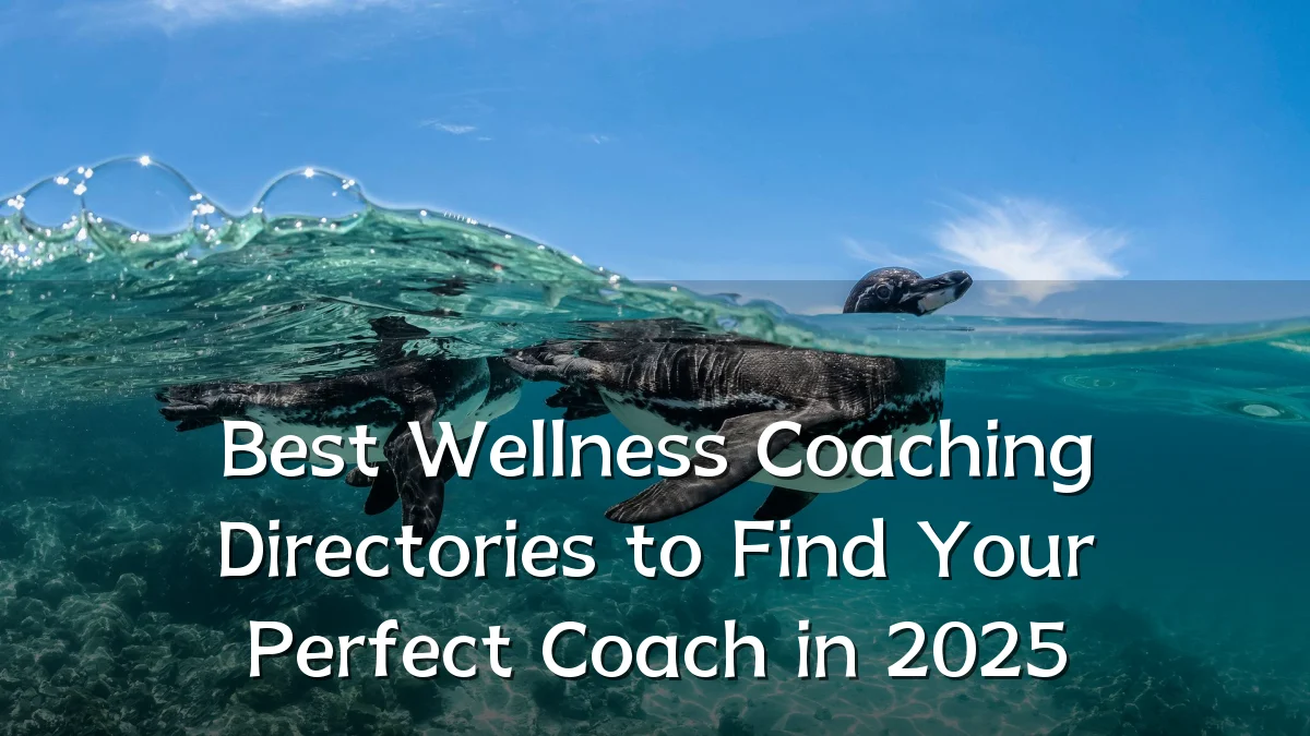 Best Wellness Coaching Directories to Find Your Perfect Coach in 2025
