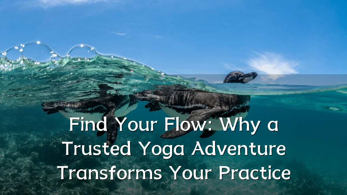 Find Your Flow: Why a Trusted Yoga Adventure Transforms Your Practice