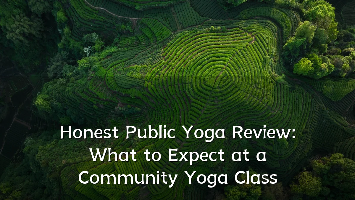 Honest Public Yoga Review: What to Expect at a Community Yoga Class