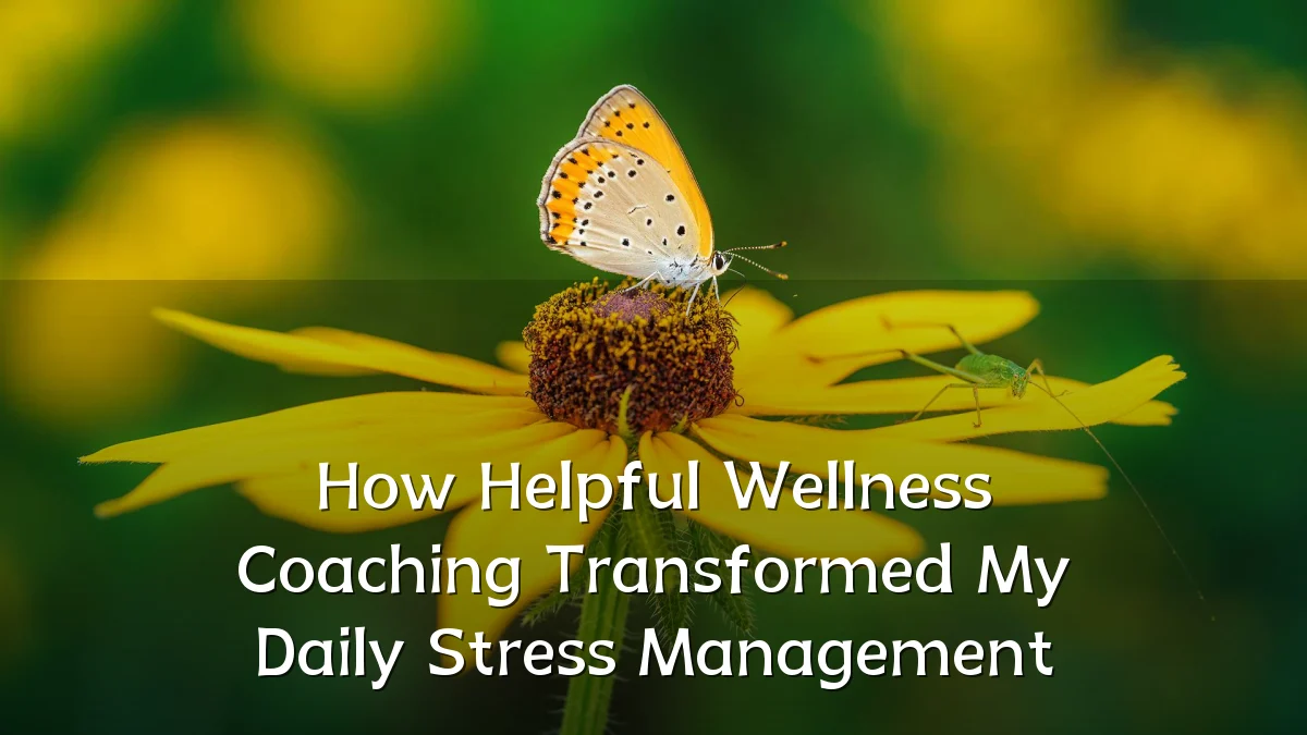 How Helpful Wellness Coaching Transformed My Daily Stress Management