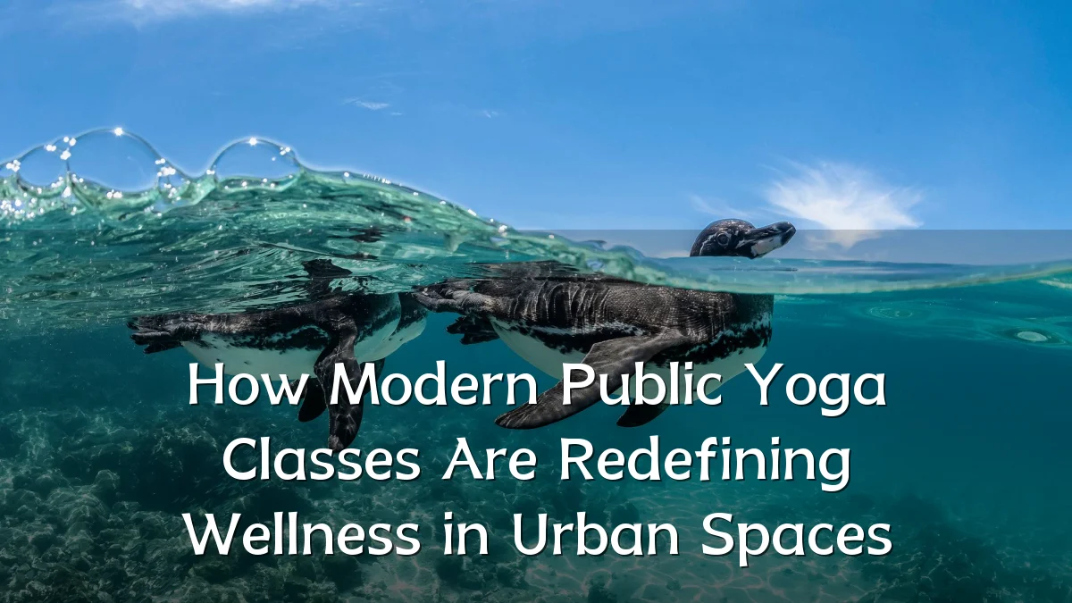 How Modern Public Yoga Classes Are Redefining Wellness in Urban Spaces