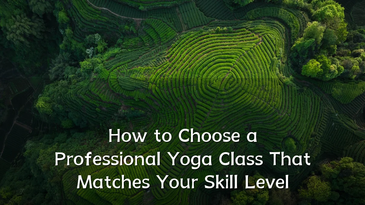 How to Choose a Professional Yoga Class That Matches Your Skill Level