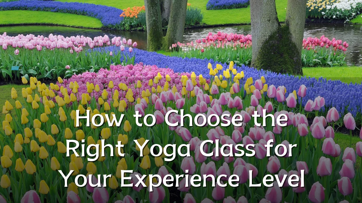 How to Choose the Right Yoga Class for Your Experience Level
