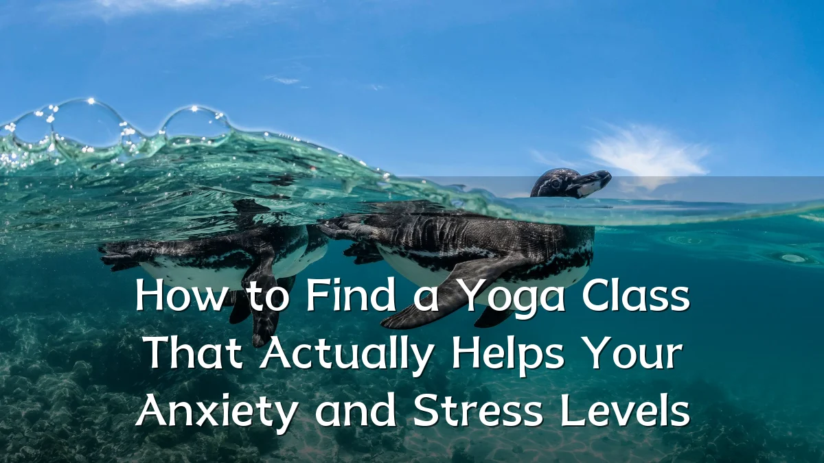 How to Find a Yoga Class That Actually Helps Your Anxiety and Stress Levels