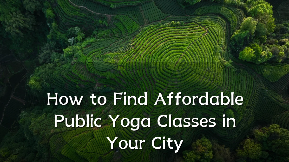 How to Find Affordable Public Yoga Classes in Your City