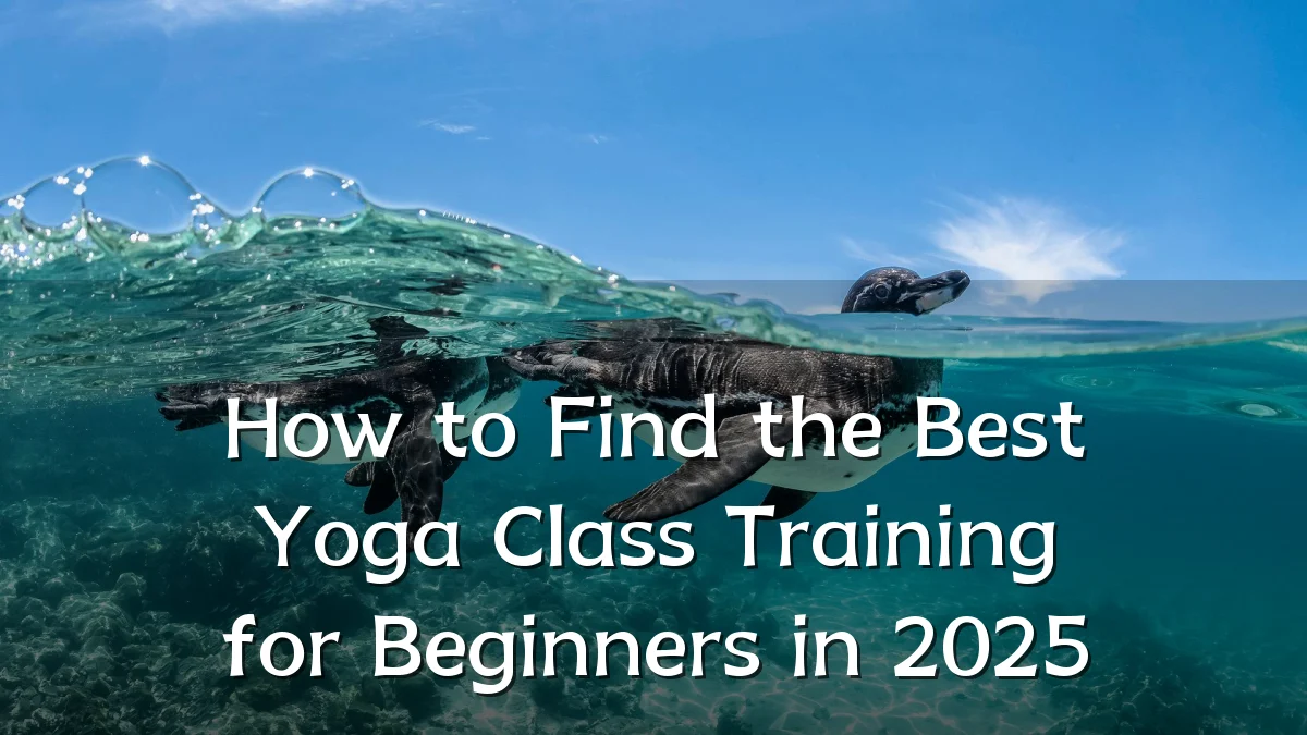 How to Find the Best Yoga Class Training for Beginners in 2025