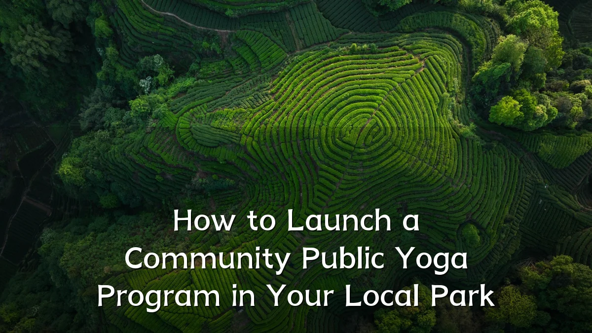 How to Launch a Community Public Yoga Program in Your Local Park