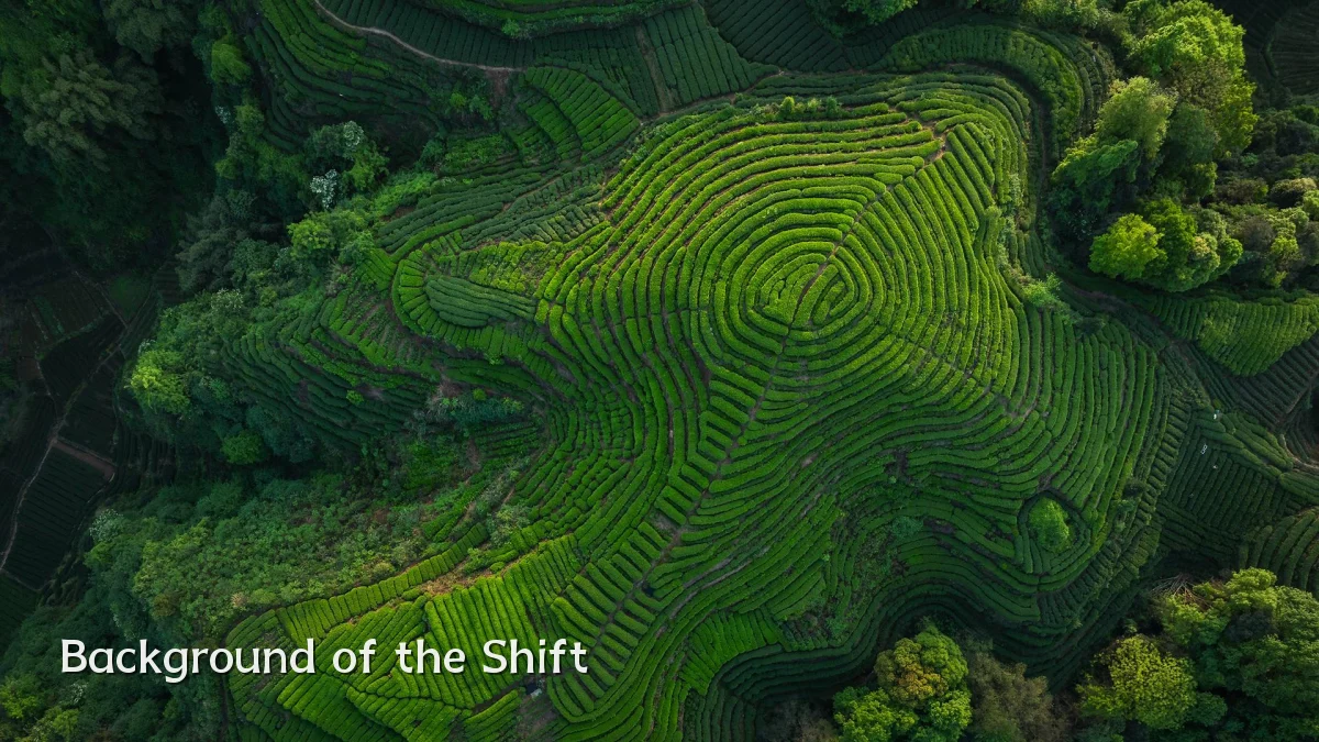 Background of the Shift