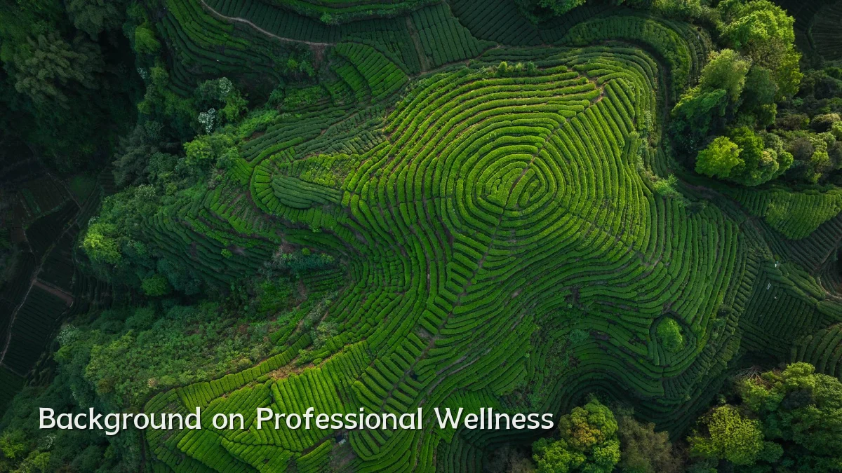 Background on Professional Wellness