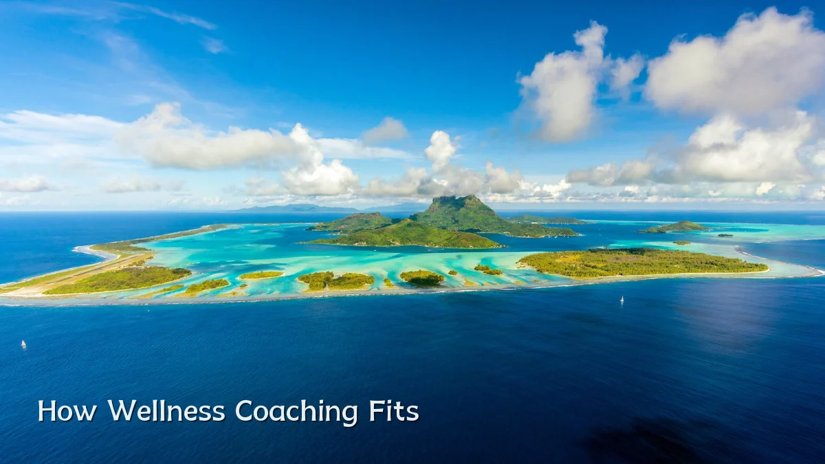 How Wellness Coaching Fits