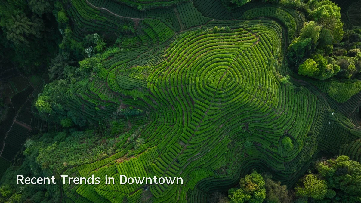 Recent Trends in Downtown