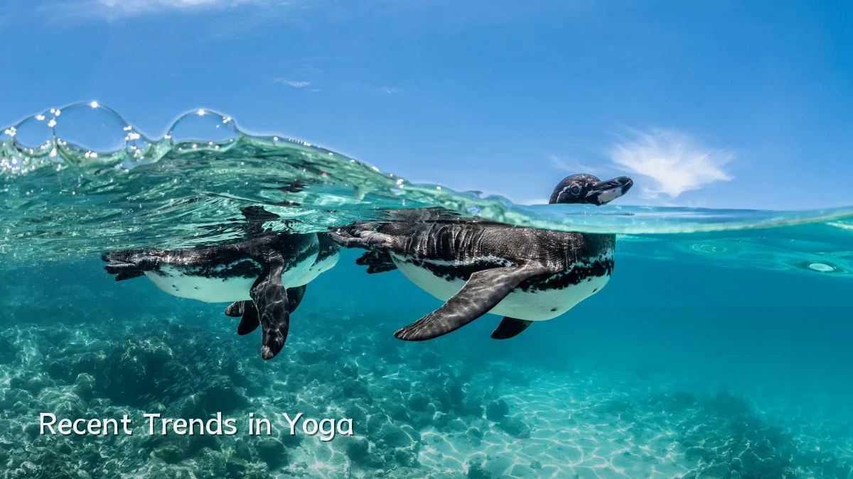 Recent Trends in Yoga