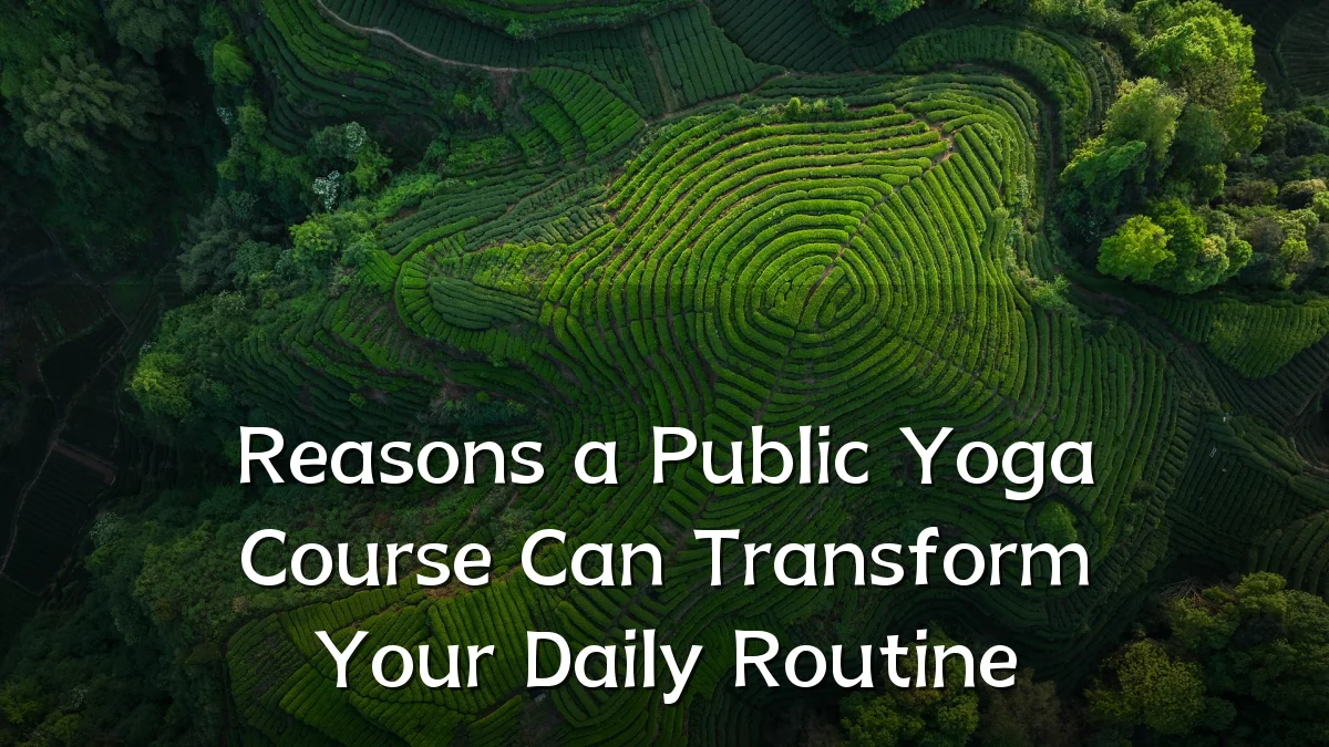 Reasons a Public Yoga Course Can Transform Your Daily Routine