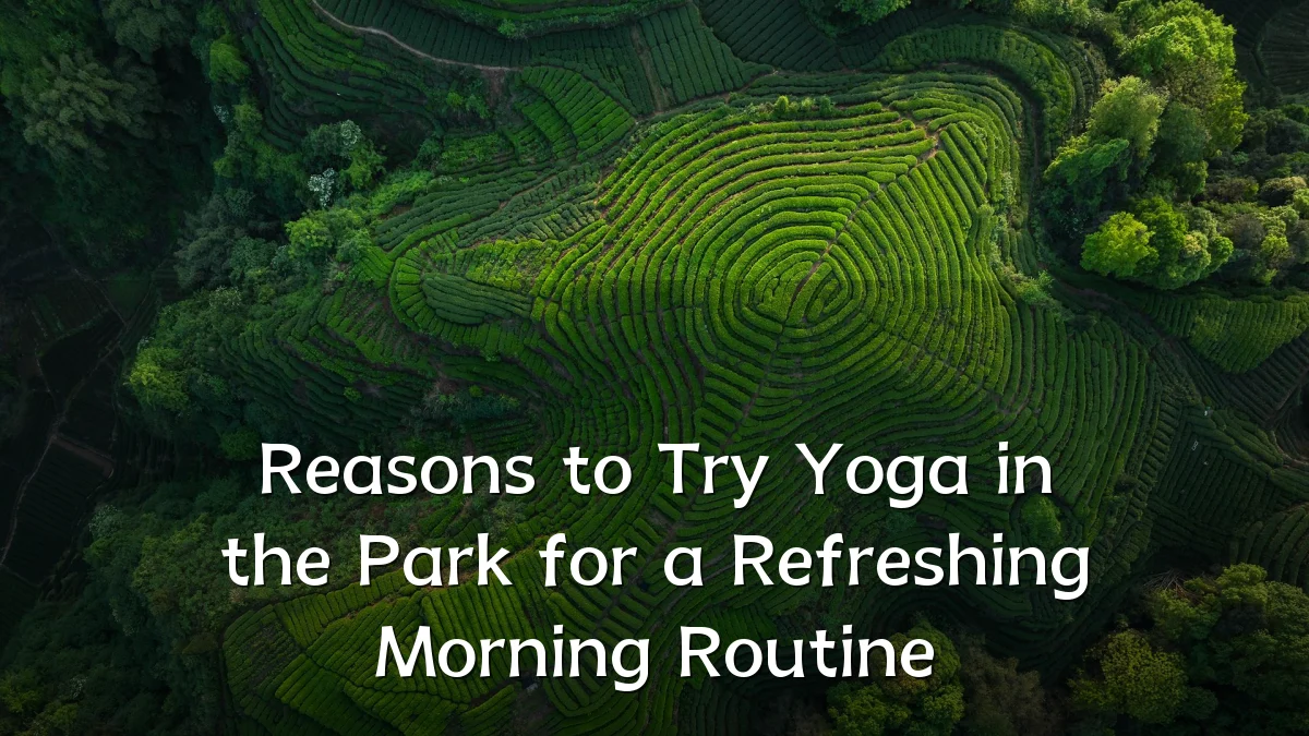 Reasons to Try Yoga in the Park for a Refreshing Morning Routine