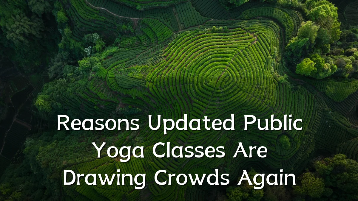 Reasons Updated Public Yoga Classes Are Drawing Crowds Again