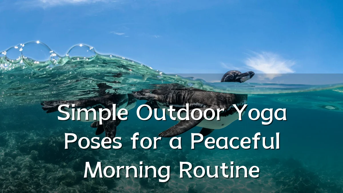 Simple Outdoor Yoga Poses for a Peaceful Morning Routine
