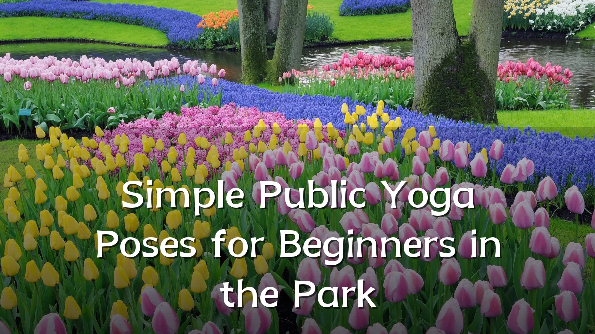 Simple Public Yoga Poses for Beginners in the Park