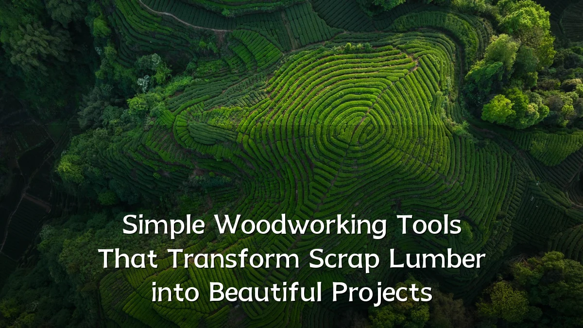 Simple Woodworking Tools That Transform Scrap Lumber into Beautiful Projects