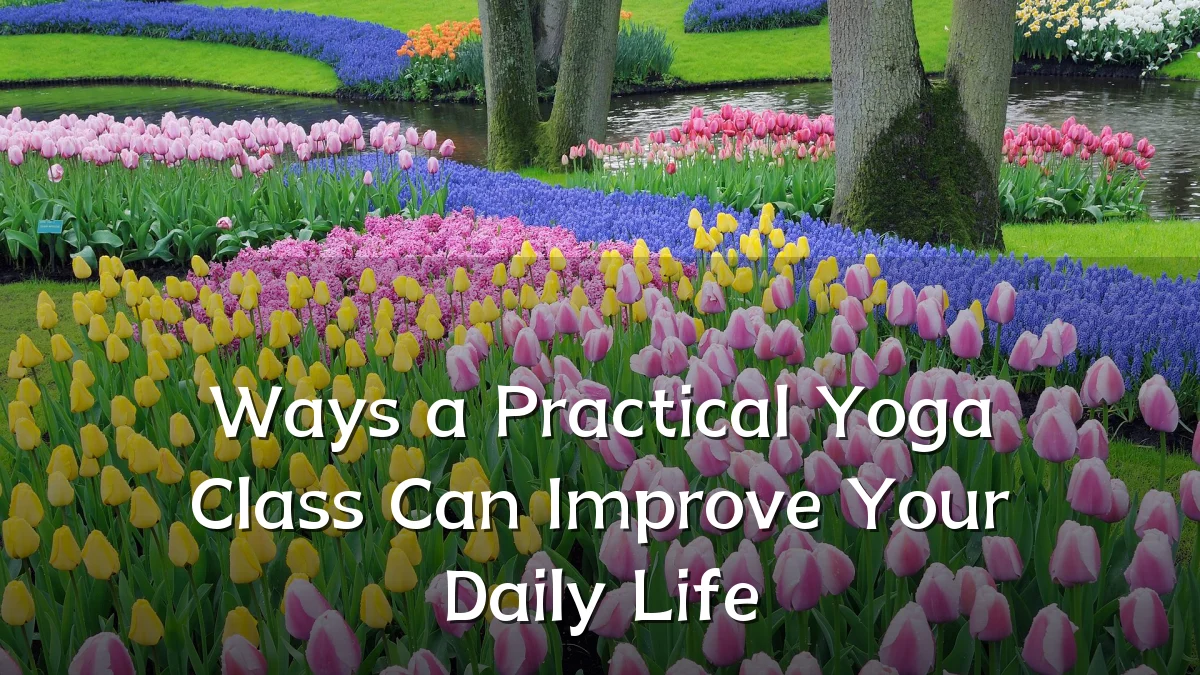 Ways a Practical Yoga Class Can Improve Your Daily Life