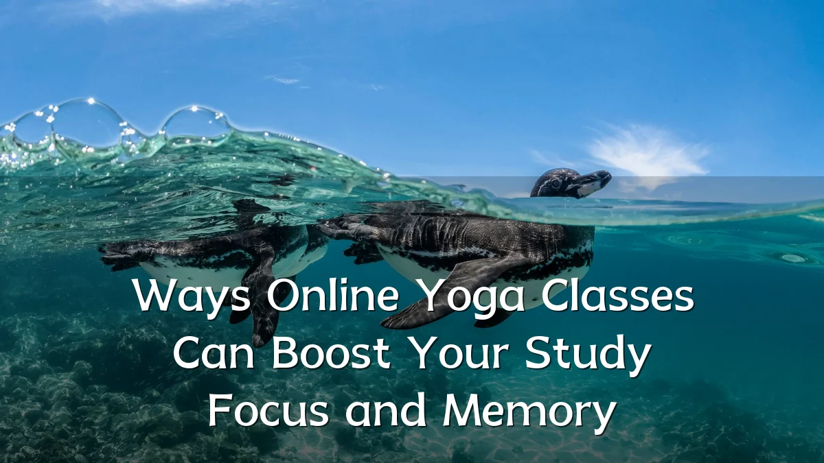 Ways Online Yoga Classes Can Boost Your Study Focus and Memory