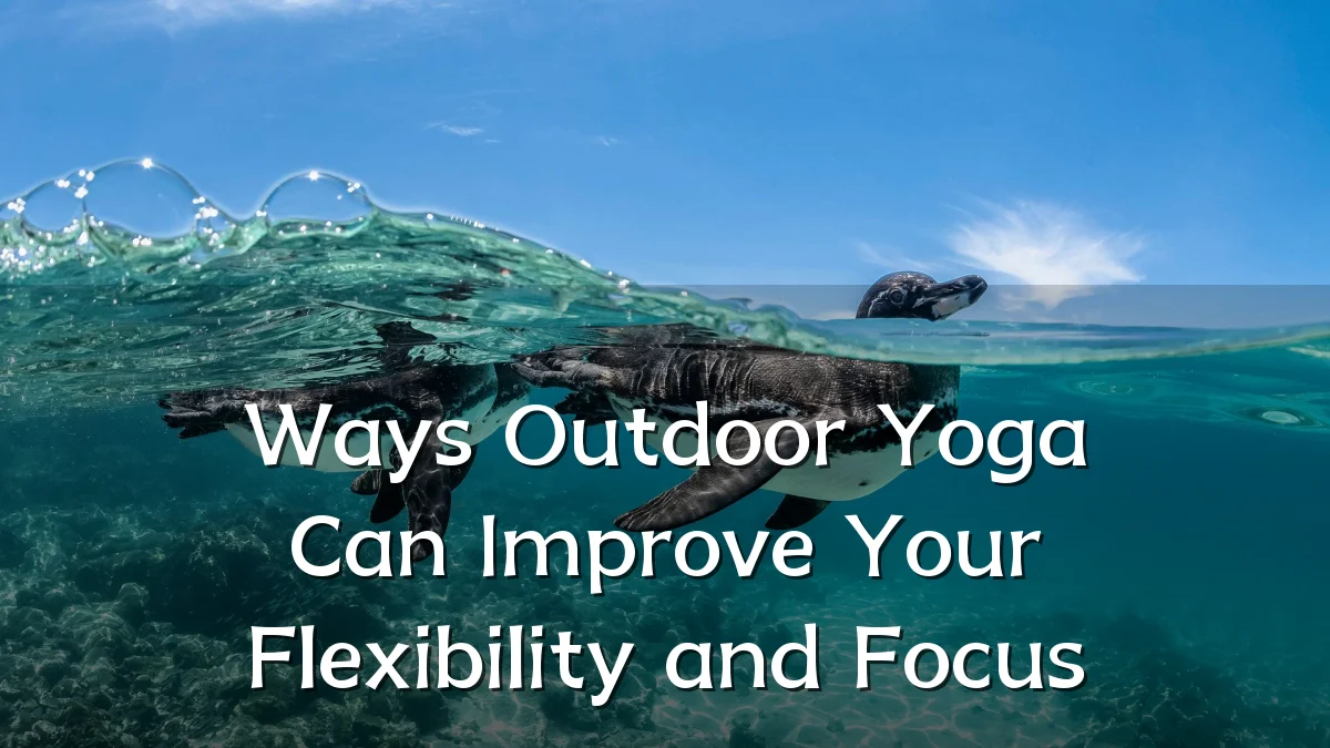 Ways Outdoor Yoga Can Improve Your Flexibility and Focus