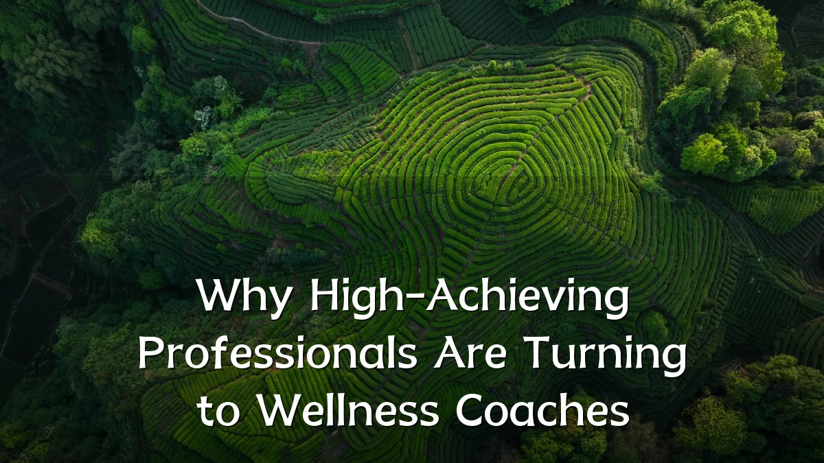 Why High-Achieving Professionals Are Turning to Wellness Coaches