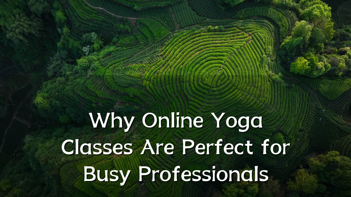 Why Online Yoga Classes Are Perfect for Busy Professionals