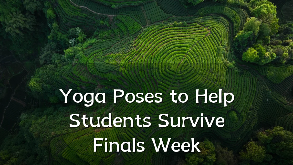 Yoga Poses to Help Students Survive Finals Week