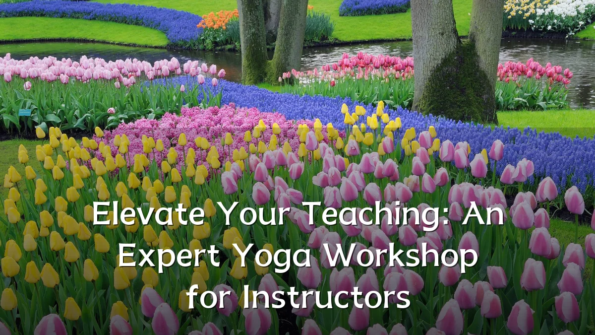 Elevate Your Teaching: An Expert Yoga Workshop for Instructors
