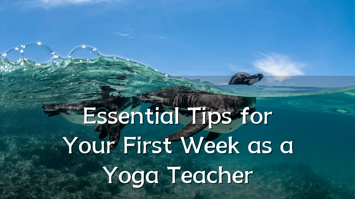 Essential Tips for Your First Week as a Yoga Teacher