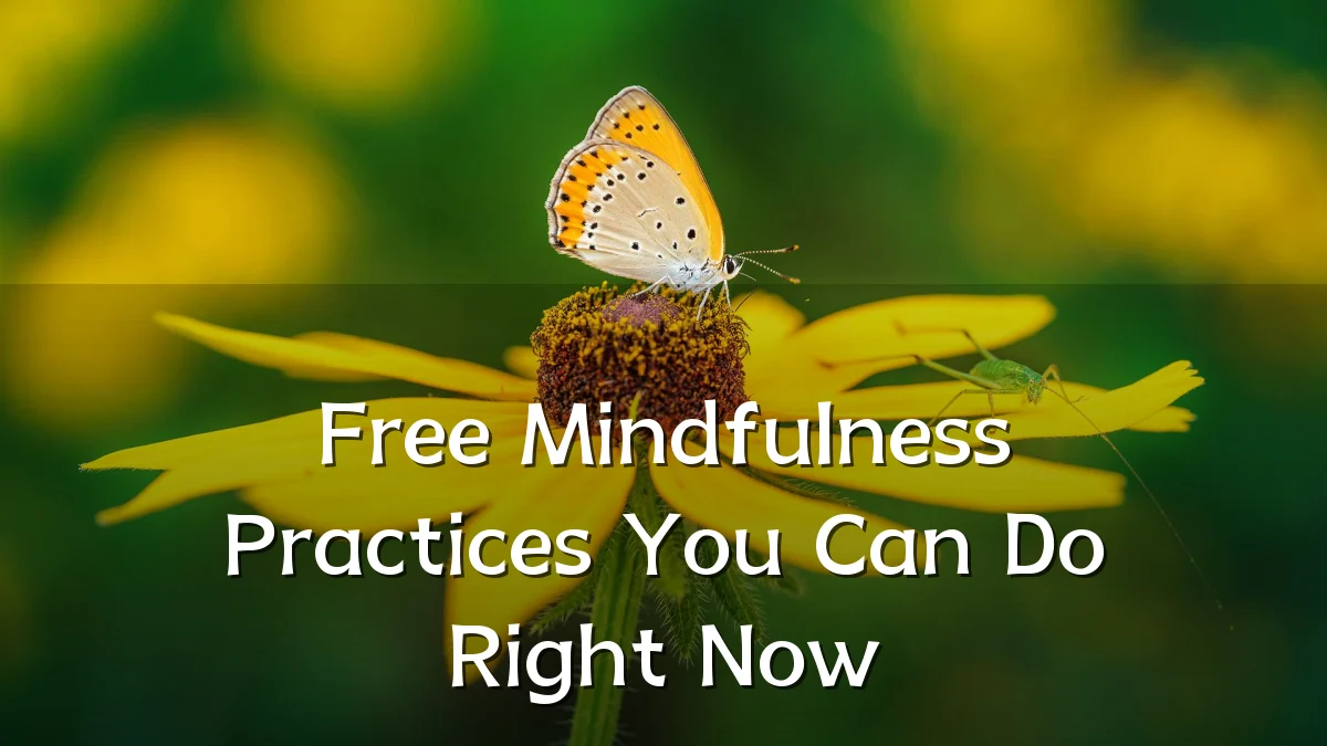Free Mindfulness Practices You Can Do Right Now