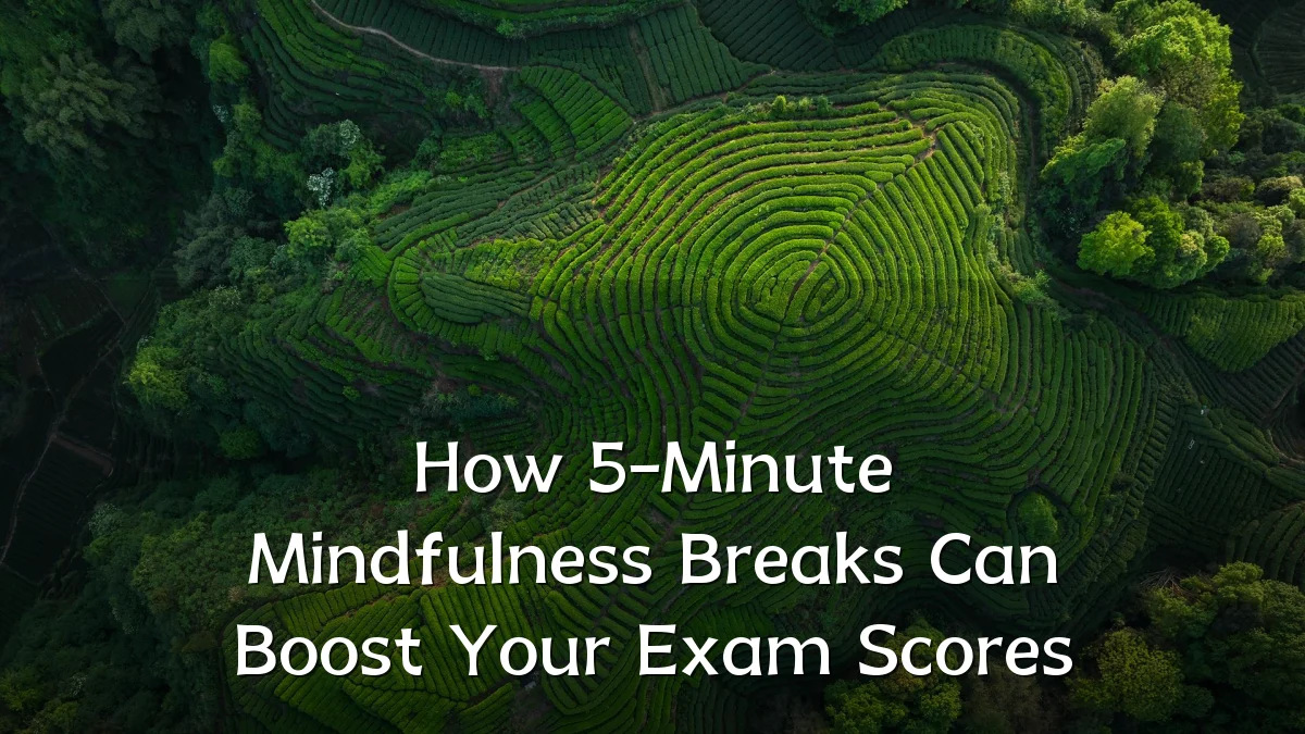 How 5-Minute Mindfulness Breaks Can Boost Your Exam Scores