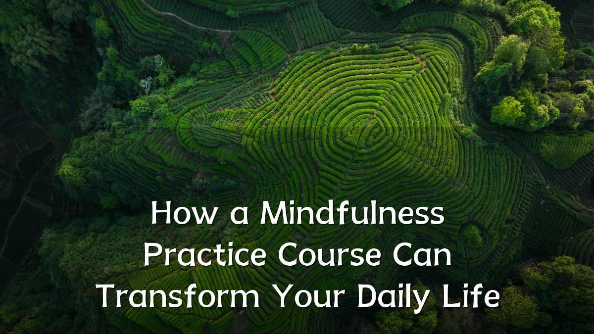 How a Mindfulness Practice Course Can Transform Your Daily Life