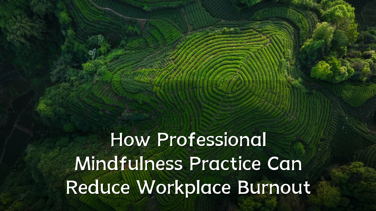 How Professional Mindfulness Practice Can Reduce Workplace Burnout