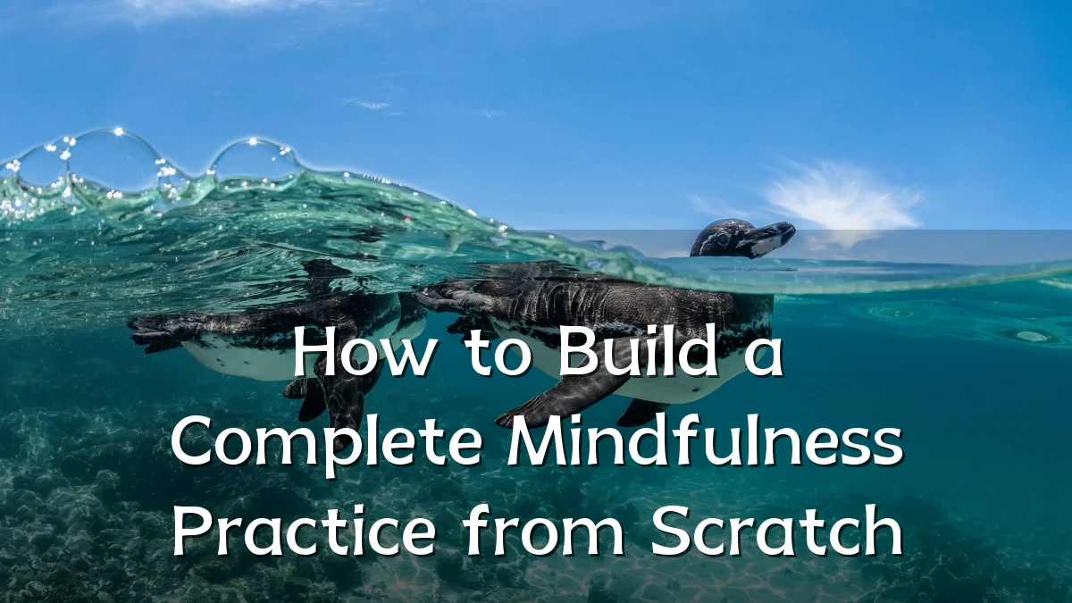 How to Build a Complete Mindfulness Practice from Scratch