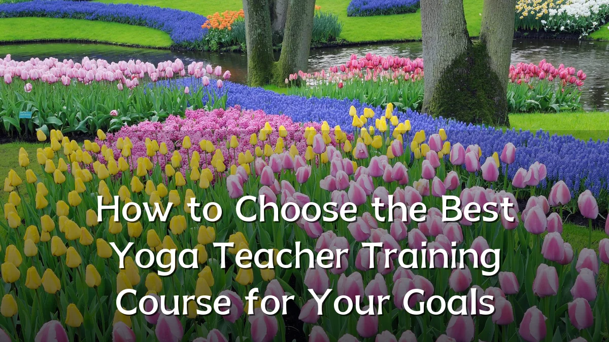 How to Choose the Best Yoga Teacher Training Course for Your Goals