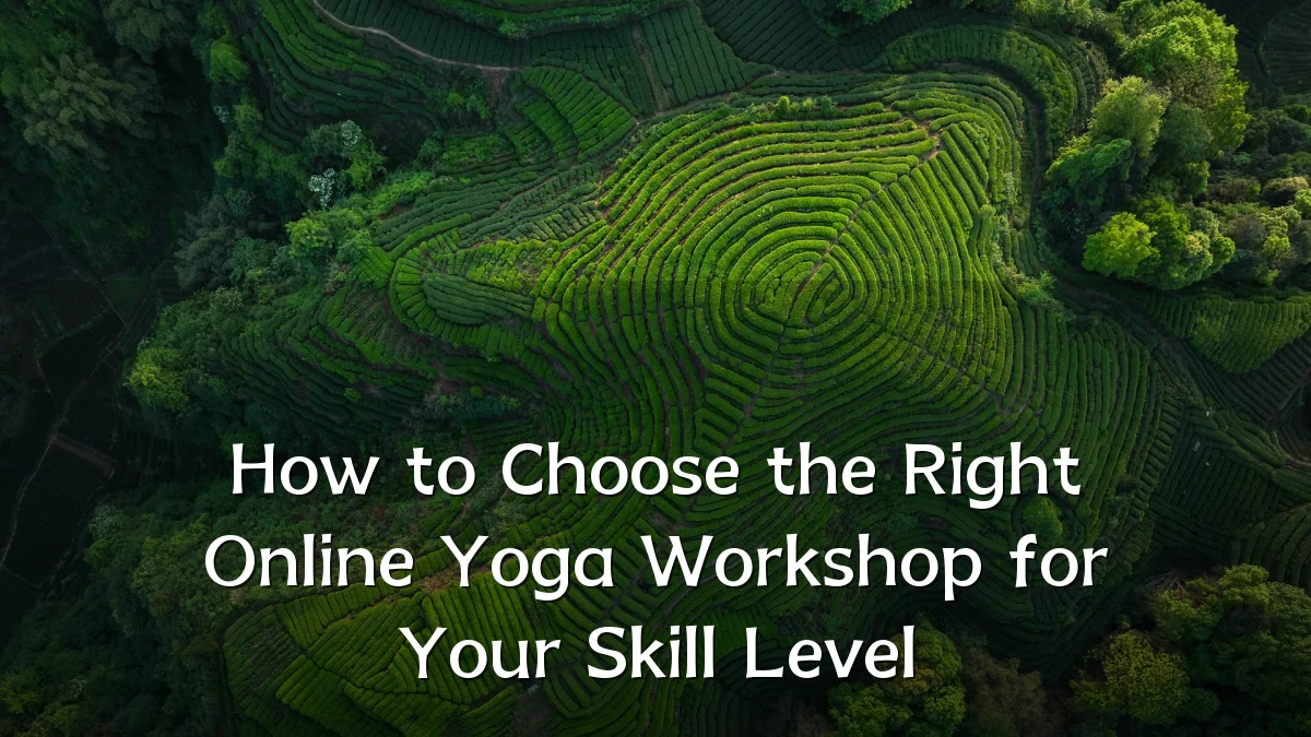 How to Choose the Right Online Yoga Workshop for Your Skill Level