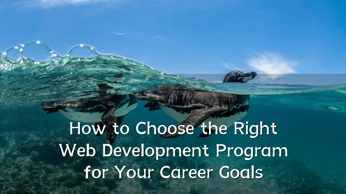How to Choose the Right Web Development Program for Your Career Goals