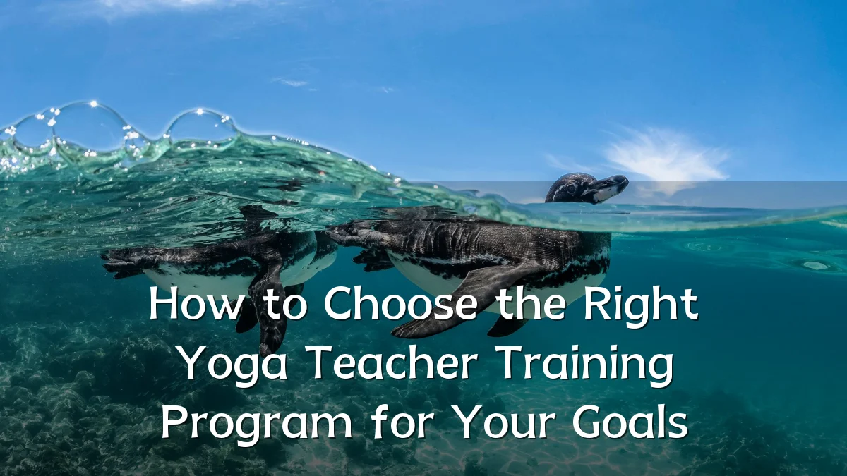 How to Choose the Right Yoga Teacher Training Program for Your Goals