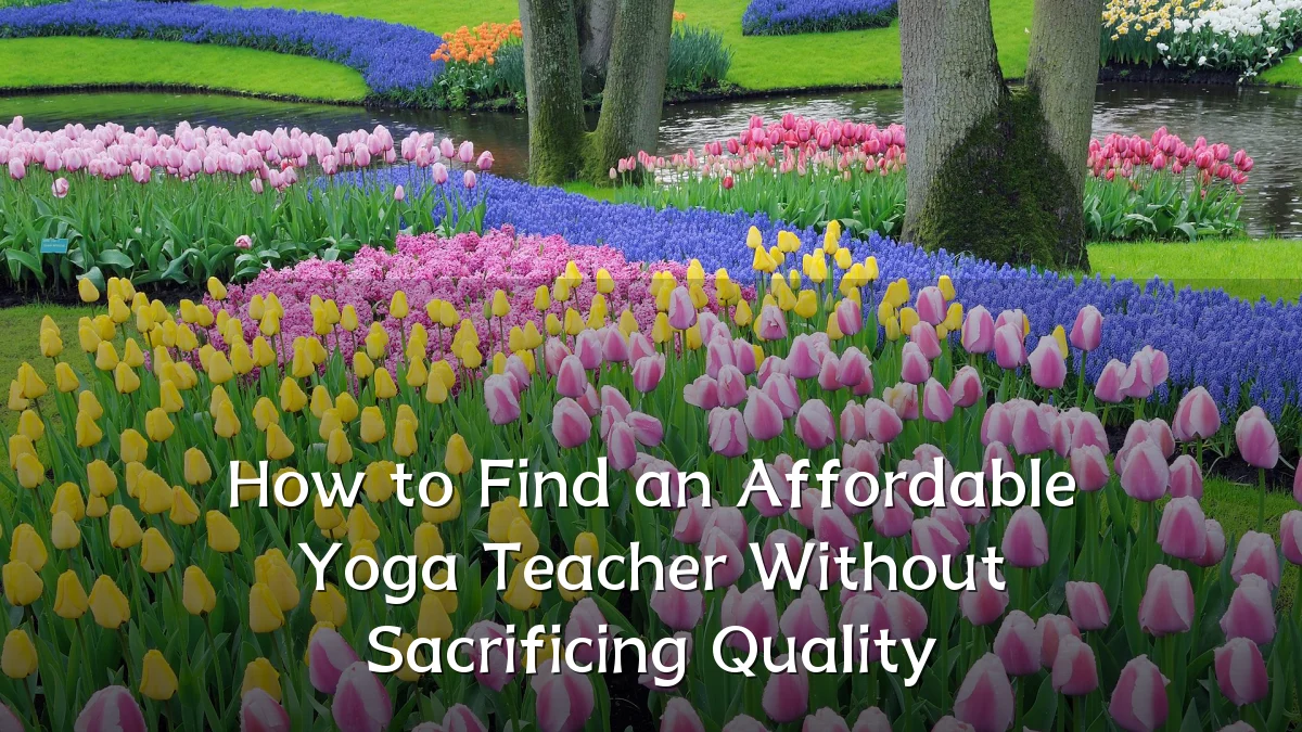 How to Find an Affordable Yoga Teacher Without Sacrificing Quality