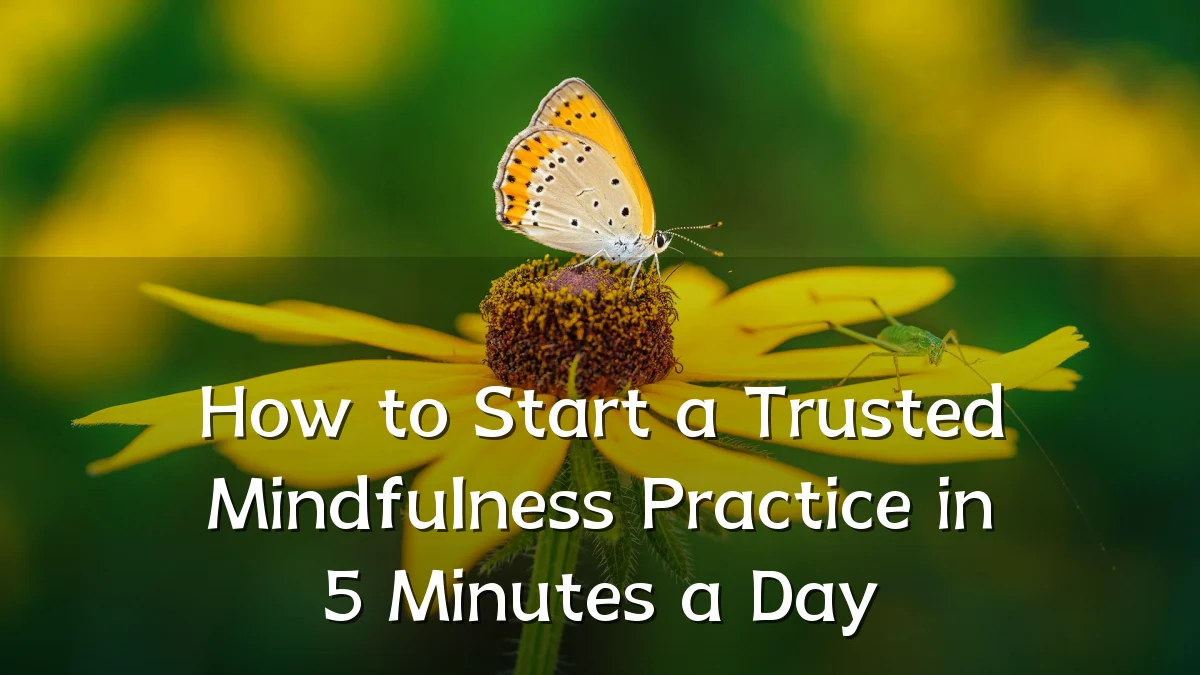 How to Start a Trusted Mindfulness Practice in 5 Minutes a Day