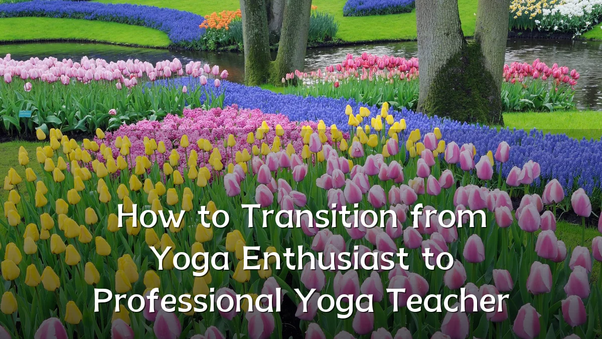 How to Transition from Yoga Enthusiast to Professional Yoga Teacher